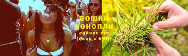 mdpv Богородицк