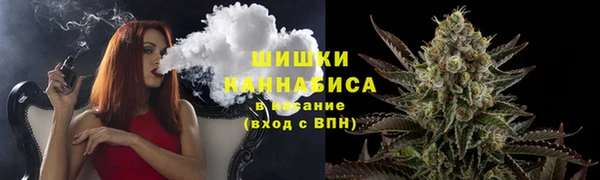 тгк Богданович