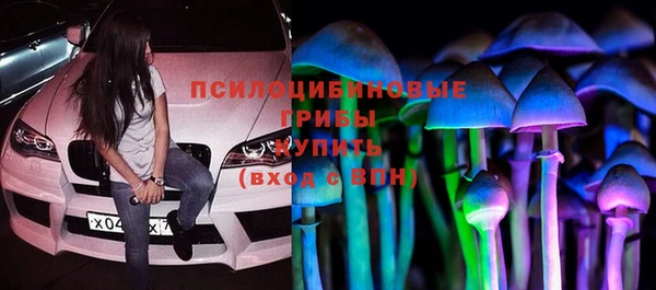 тгк Богданович