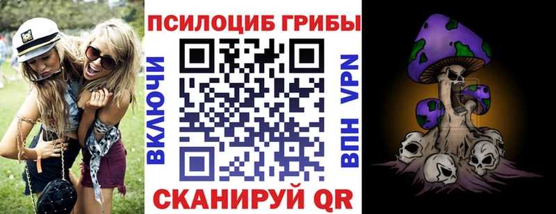 Псилоцибиновые грибы ЛСД  Торжок 